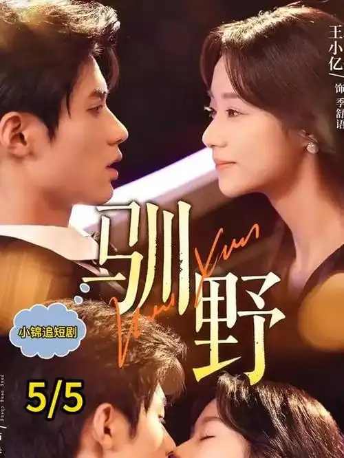 长夜拾光